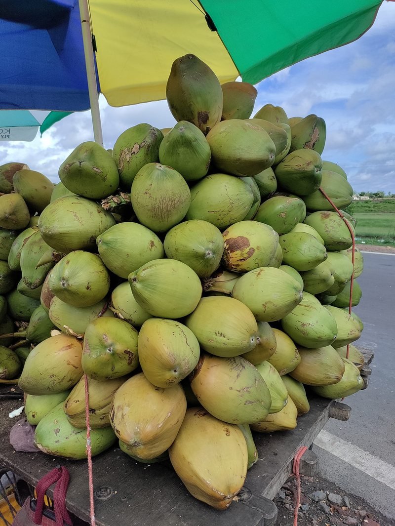 Coconut