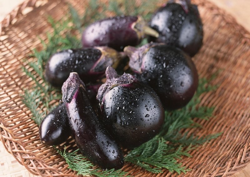 Brinjal