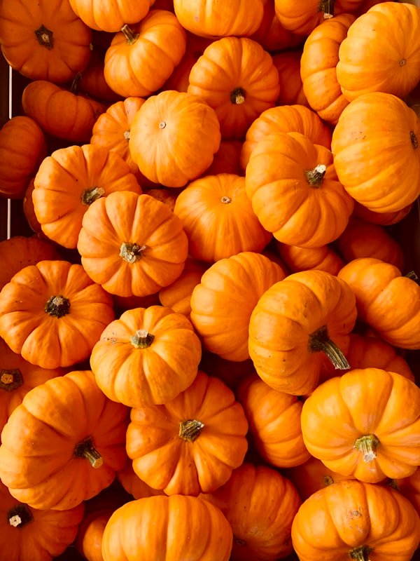 Red Pumpkin